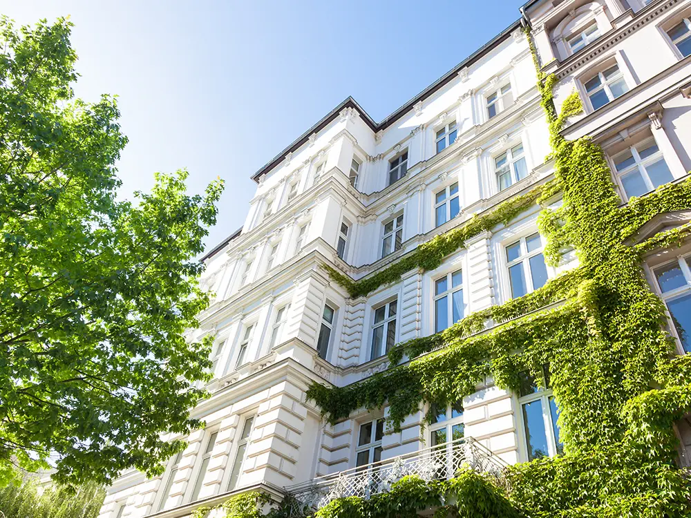 Altbausanierung der Elektrik in Bornheim mit freigelegten Leitungen und modernisierten Anschlussdosen vom Elektriker Stefan Montenarh.